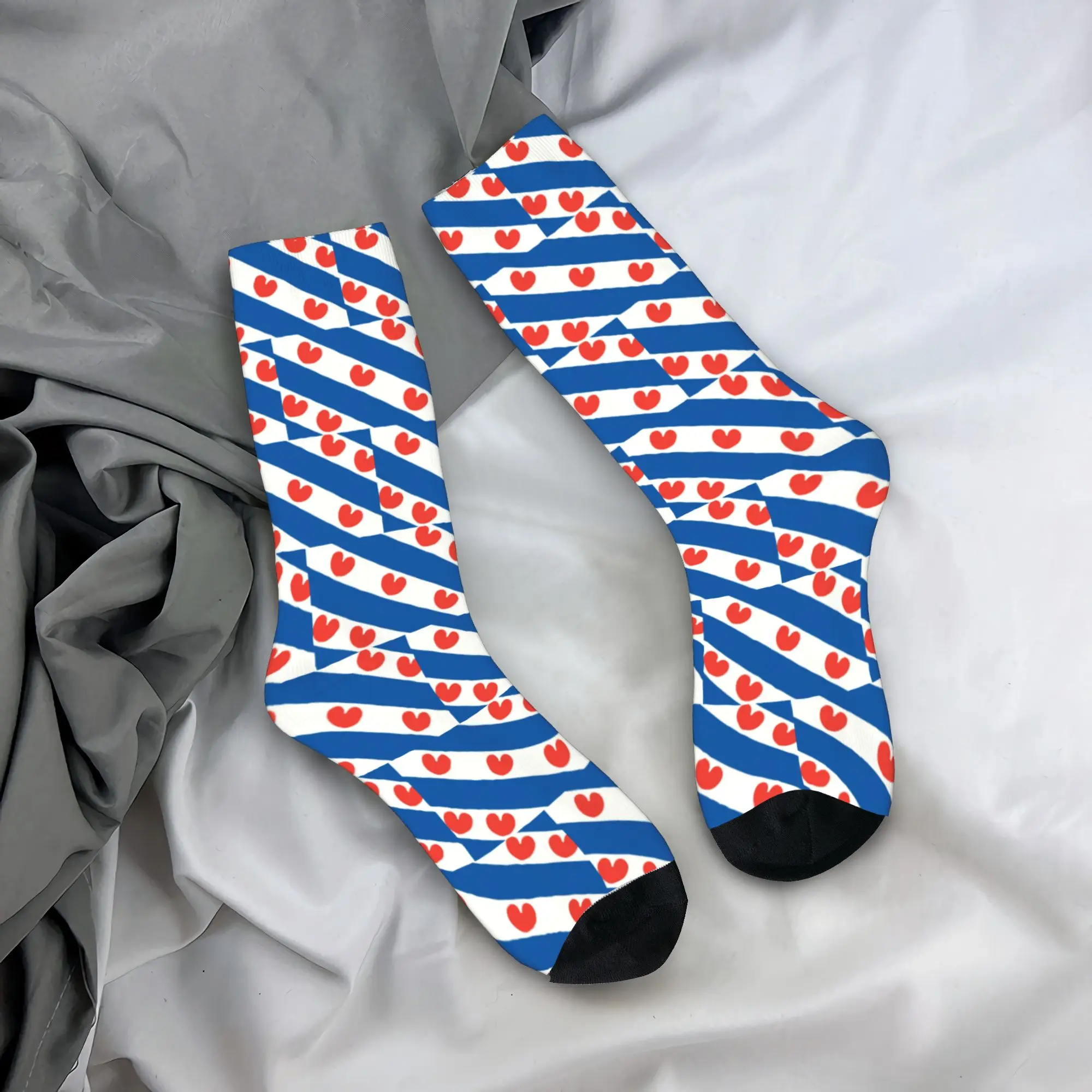 Skarpety męskie z flagą Friesl – Dress Sock Men recenzja i cena